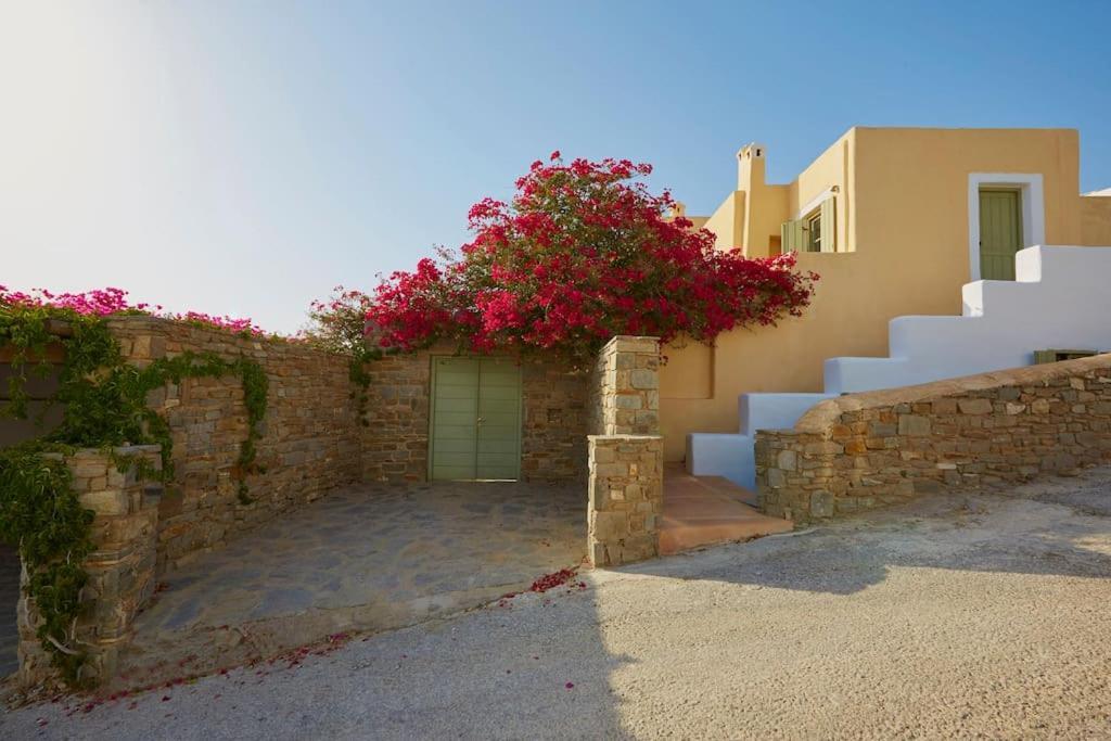 Ochre Dream, Beach Front & Sunset Villa Naousa エクステリア 写真