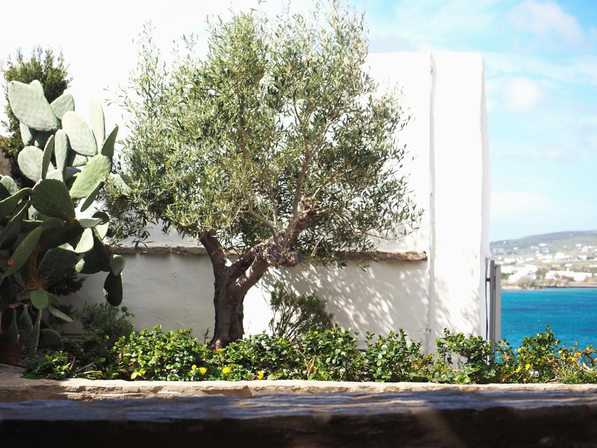 Ochre Dream, Beach Front & Sunset Villa Naousa 部屋 写真